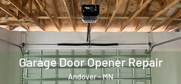  Garage Door Opener Repair Andover - MN