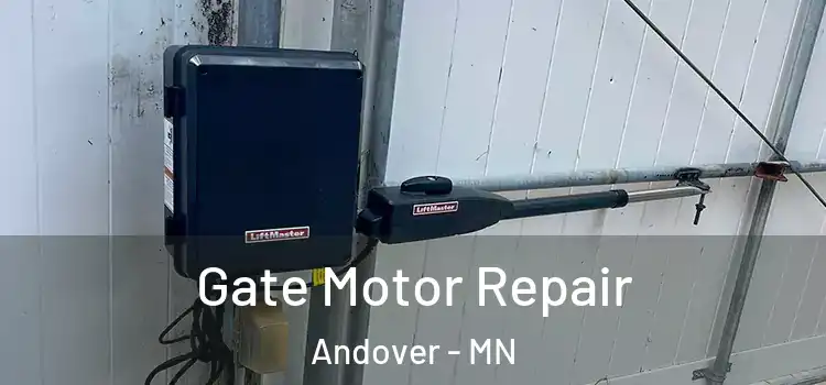 Gate Motor Repair Andover - MN