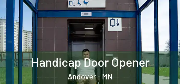 Handicap Door Opener Andover - MN