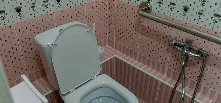 Meeting Diverse Needs With Accessible Restroom Solutions in Andover, MN