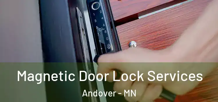 Magnetic Door Lock Services Andover - MN
