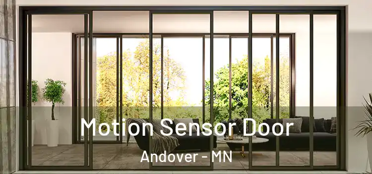 Motion Sensor Door Andover - MN