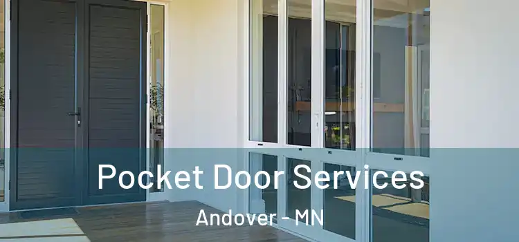 Pocket Door Services Andover - MN