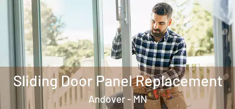  Sliding Door Panel Replacement Andover - MN