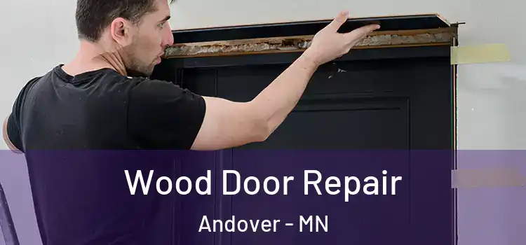Wood Door Repair Andover - MN